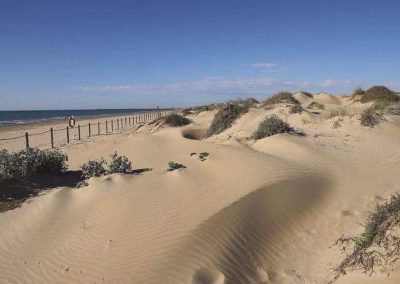 Casa Oase El Raso Penthouse